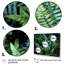 Green Fern Scenery IV sur toile, reproduction de 3 pièces-19183993