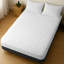 Fitted Mattress Protector Case Pack-1349941715