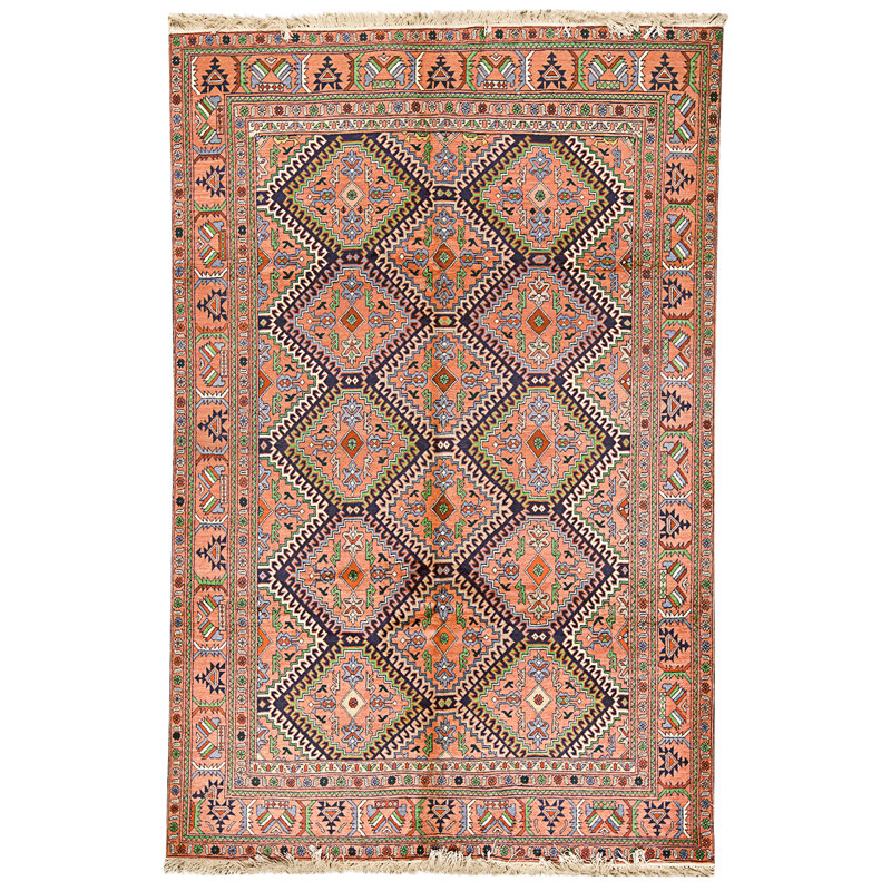 Hand Knotted Wool Area Rug in Multi
