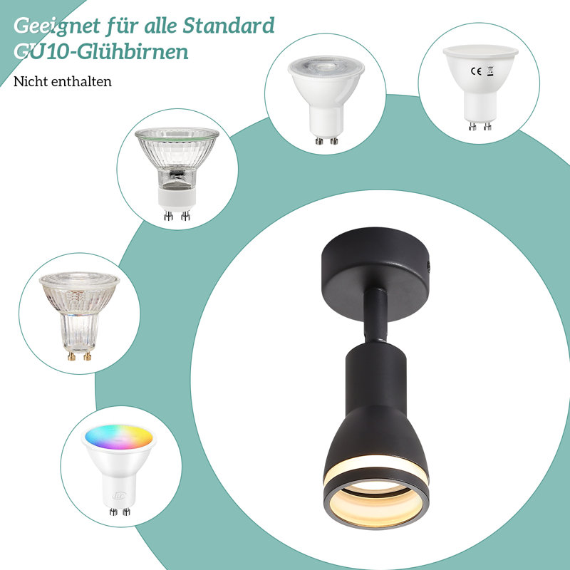 Rhandi Acrylic and Iron Spotlight, Matte Black, Matte Black