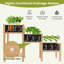 Elevated Planter