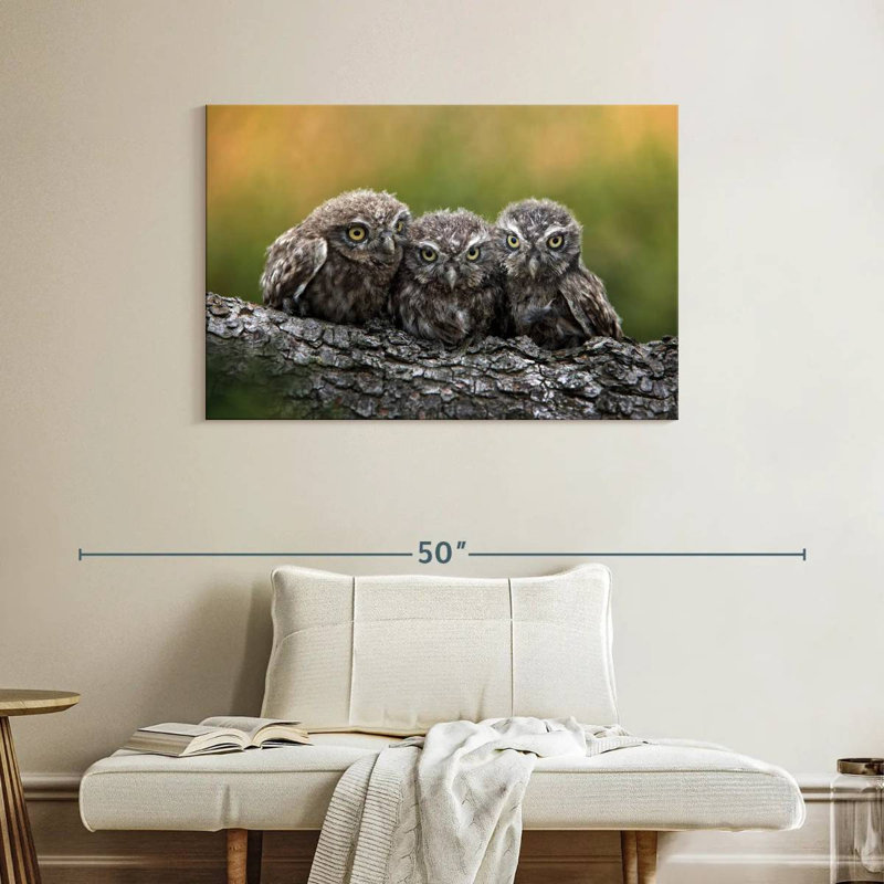 Brampt Snuggling Young Owls, 26" H x 39" W