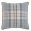 Arthur Euro Pillow Cover & Insert-64627409