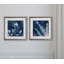 « nature indigo ii », ensemble de 2 reproductions encadrées-27609837