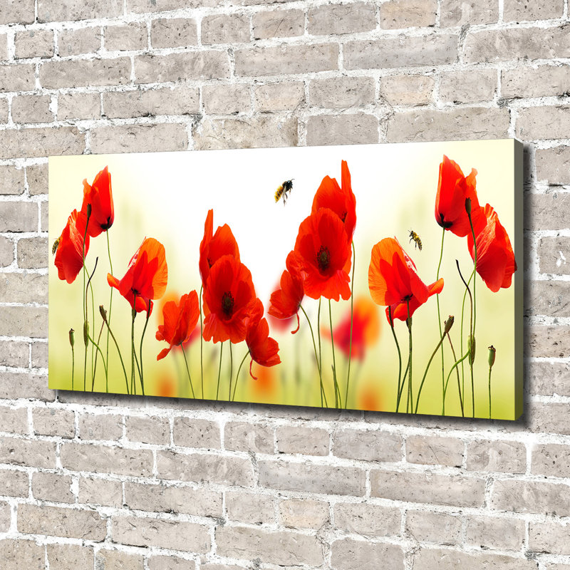 Maki - Wrapped Canvas Print
