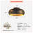 Modern Caged Ceiling Fan Light Kit with Remote Control-213031183