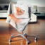 Magnifique chaton brun aquarelle - coussin imprimé animal-30744776-30744779