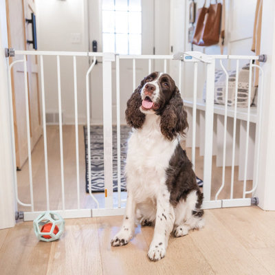 Pressure Mounted Pet Gate -  Carlson Pet Products, 0932 PP DS