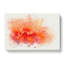 Orange Carnation Flower In Abstract - Wrapped Canvas-55312139