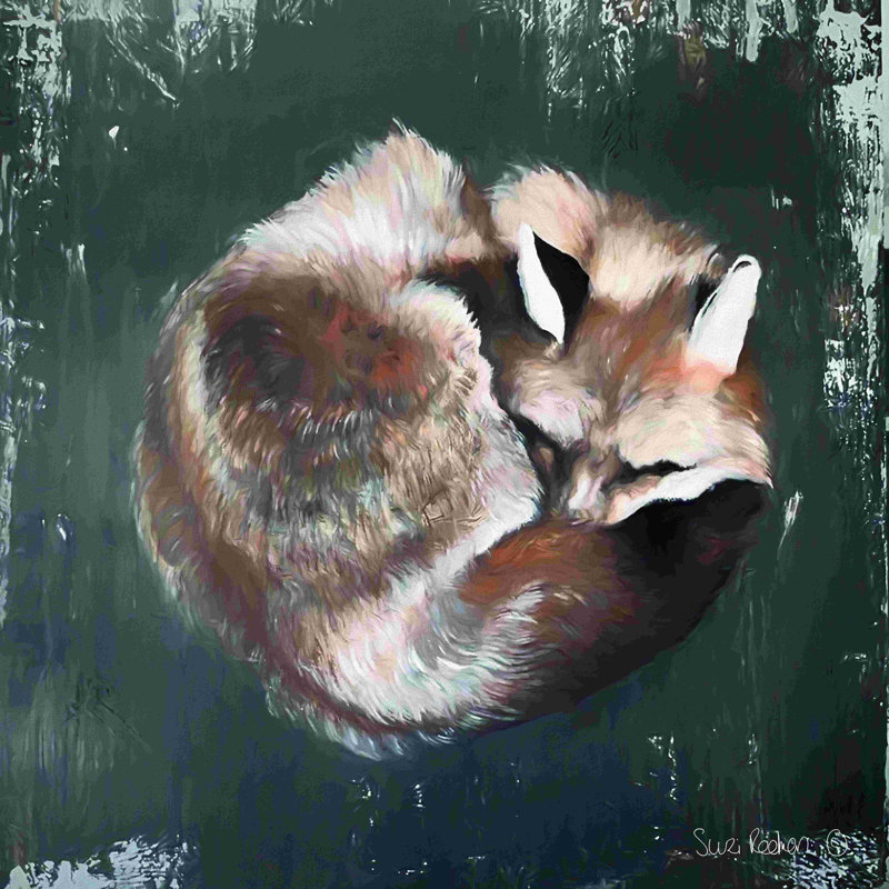Sleeping Fox No. 11 - peinture sur toile tendue, H 12 po x l 12 po