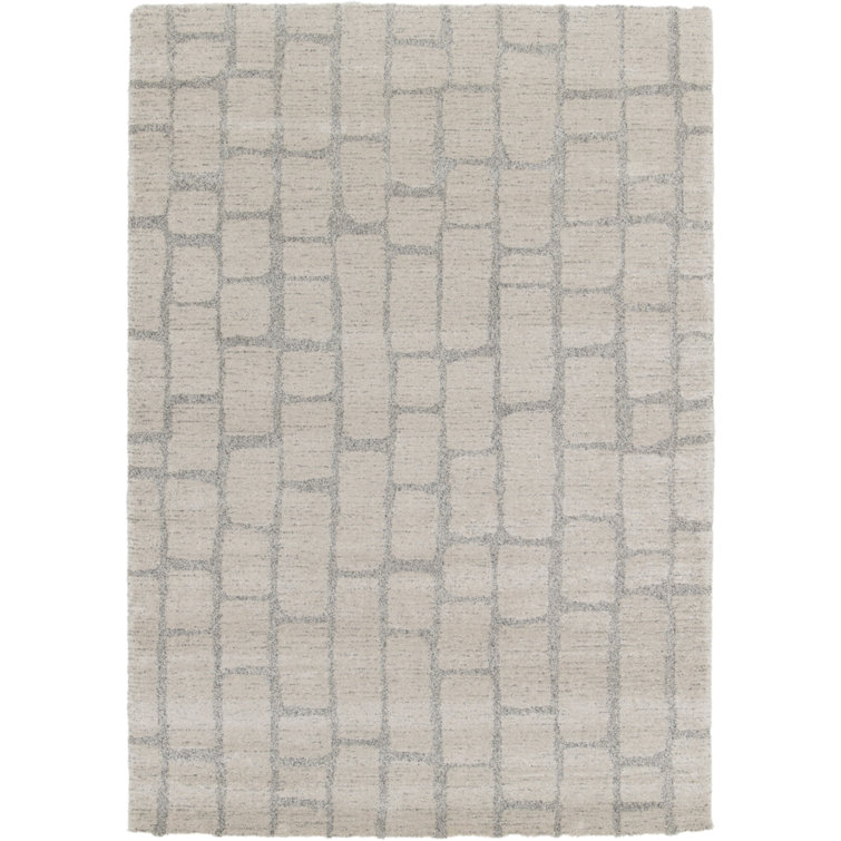 Aileth Chequered Area Rug