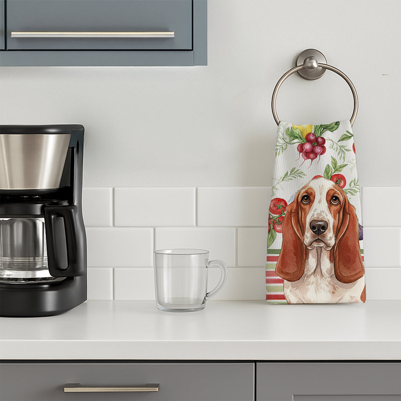 Torchon rouge et blanc Basset Hound, Red/White Basset Hound