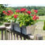 Damm Metal Bracket Plant Stand