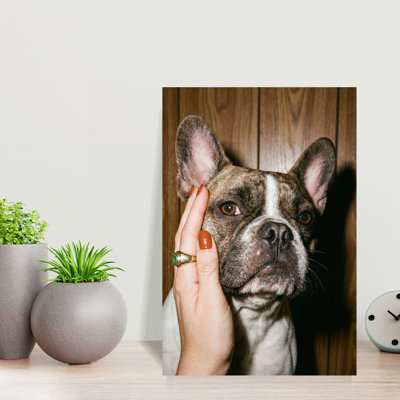 Petting A Frenchie Retro Vintage Bulldog Dog Wall Art