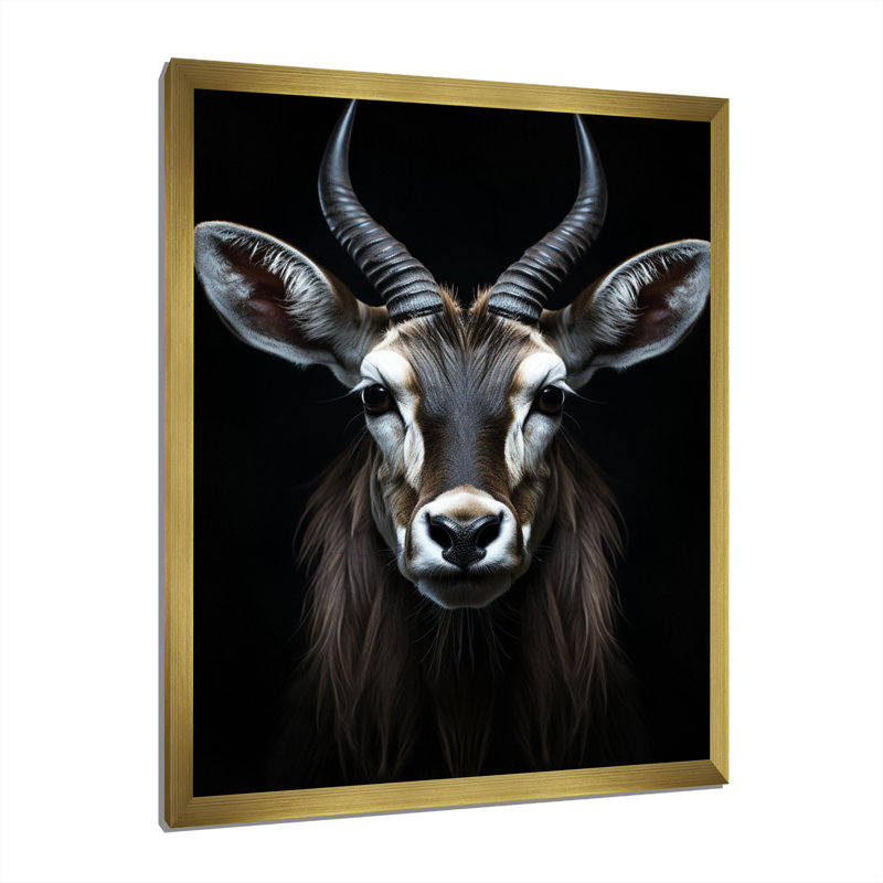 Antilope Keionna, photo II - impression, H 20 po x l 12 po x P 1 po, Cadre doré simple