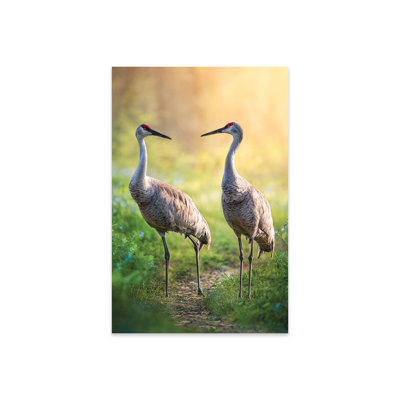 Talking Cranes par Patsy Weingart