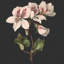 Flower Study I Print by M. De Gijselaar