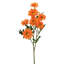 Marguerite marguerite X7 + 3bud 25 po -1717643283