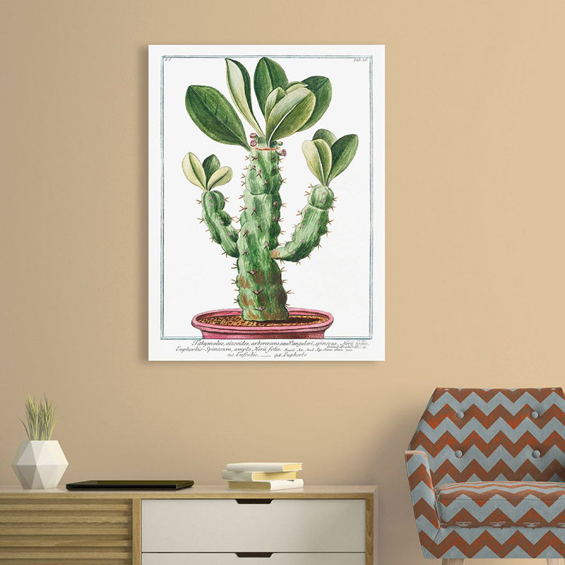 Euphorbio-Spinosum by Giorgio Bonelli - Art Prints on Canvas, 70cm H x 50cm W x 4cm D