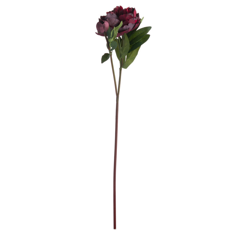 Anastasija Arrangement, Red, Green