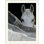 «Straub Look» par Milan Malovrh - reproduction de photo