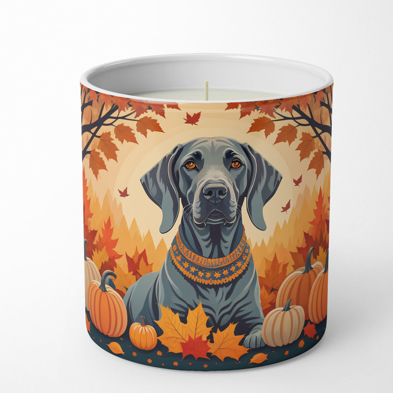 Bougie parfumée Pumpkin Spice avec support en céramique