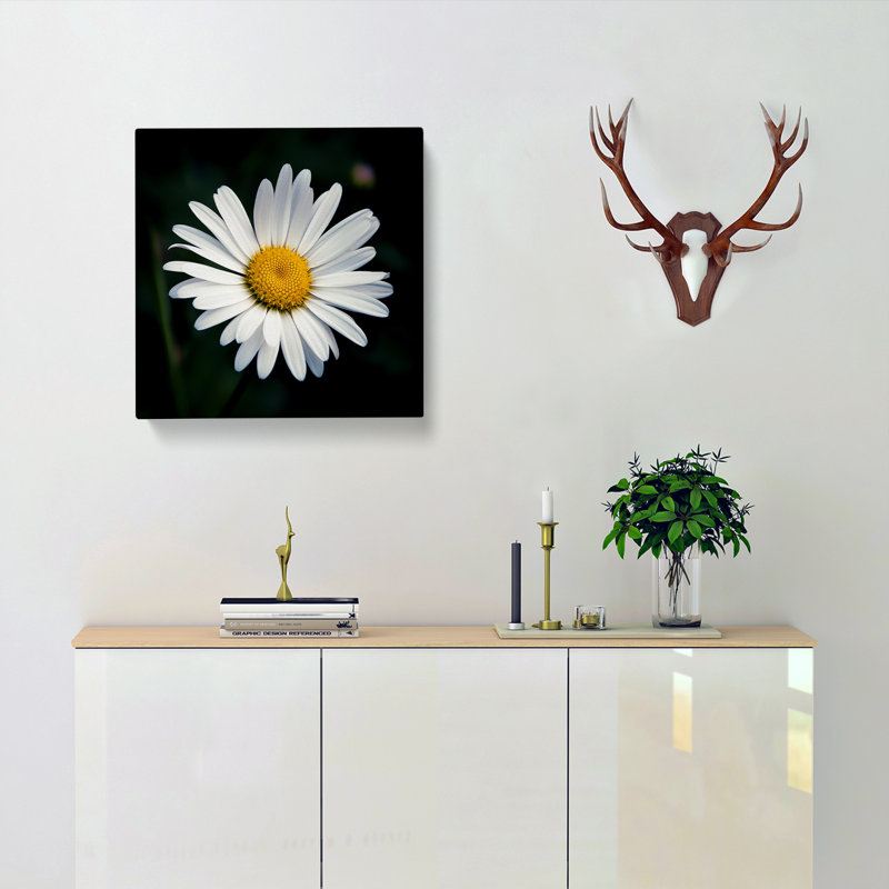 Daisy Photograph - Wrapped Canvas, 50cm H x 50cm W x 3cm D