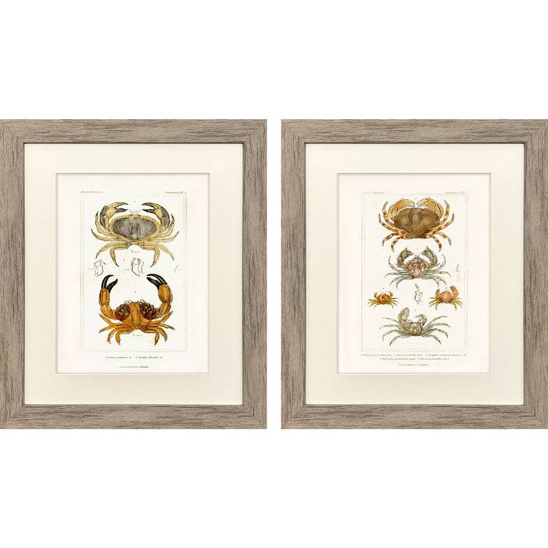 Crabe antique encadré
