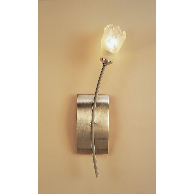 Cottone Wallchiere, Yes
