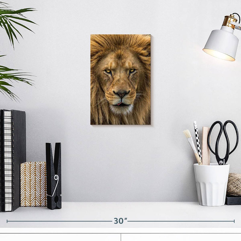 Brampt Handsome Lion Head, 12" H x 8" W