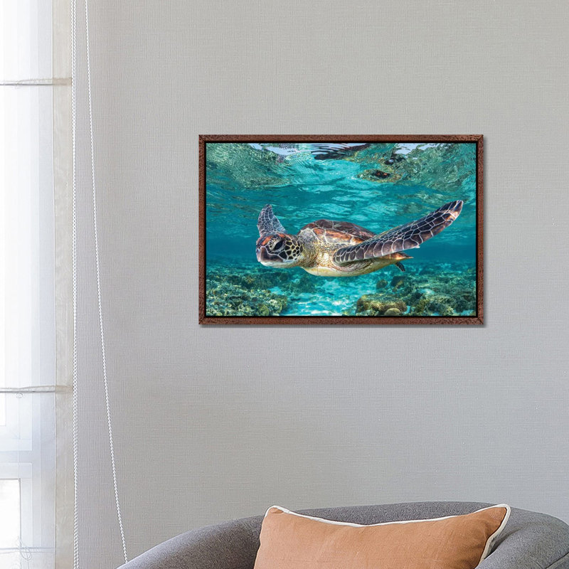 Learn To Fly by Jordan Robins - Print on Canvas, 101.6 cm H x 66.04 cm W, Brown Framed