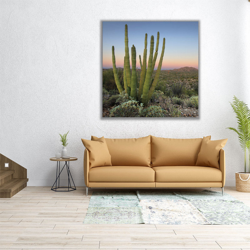 Orgue, tuyau, cactus au crépuscule - reproduction d'art sur toile, H 40 po x l 40 po