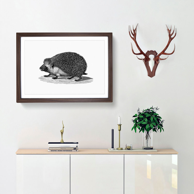 Hedgehog Illustration - Picture Frame Art Print, 36cm H x 48cm W x 2cm D, Walnut Framed