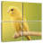 Brampt Perched Yellow Parakeet-109033780