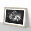 Two Snuggling Tigers - Picture Frame Graphic Art Print-56864608-56864606