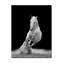 Horse Trot Print-24074601