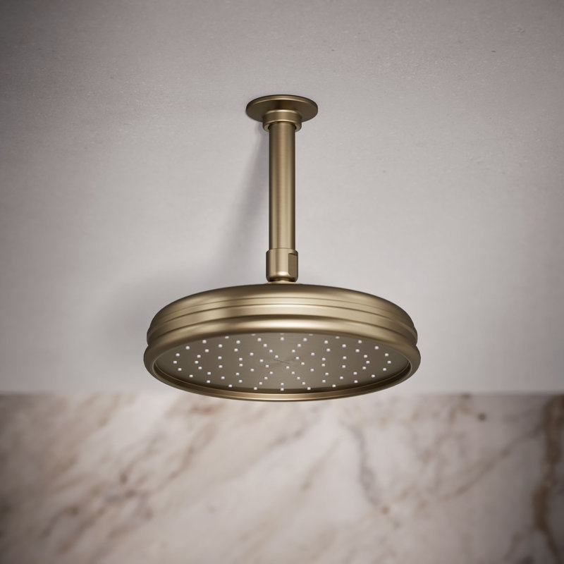 Traditional Rain Shower Head, Vibrant Brushed Bronze