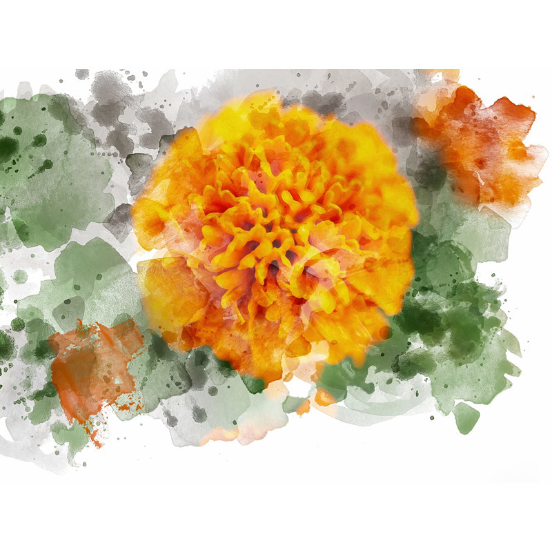 Floral 3652 Print by Chamira Young, Black Framed Paper, 17.25" H x 21.25" W
