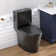 Elongated One Piece Toilet with Comfort Seat Height 17.3", Power Dual Flush 0.8/1.28 GPF and MAP 1000g