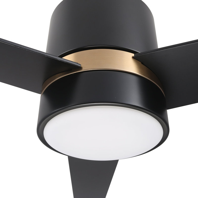 Ventilateur de plafond d'intérieur intelligent Raiden, Noir, 173 tr / min, Noir
