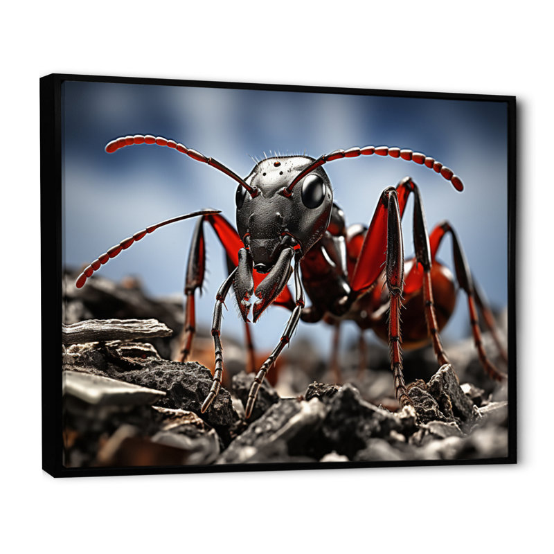Fourmi travailleuse II - reproduction sur toile, Cadre flottant noir, H 34 po x l 44 po x P 1,5 po