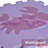 45.5'' L Interlocking Foam Playmat