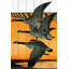 « journal oies », impression sur bois-16159009