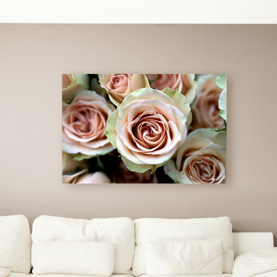 « pâle rose roses », reproduction de photo sur toile encadrée