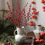 Fausse tige rouge d'hiver-723804212
