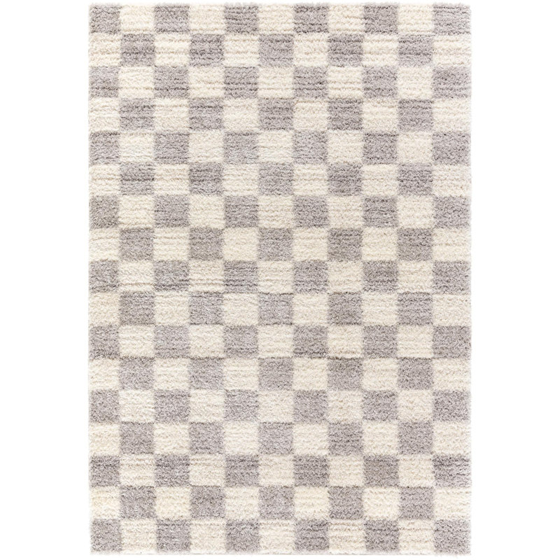 Aarno Modern Machine Woven Area Rug, Rectangle 2' x 2'11"