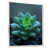 White Floater Framed Canvas
