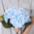 Laidley Hydrangea Arrangement-1269178874