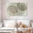 Aletra Two King Scallop Shells-108093095