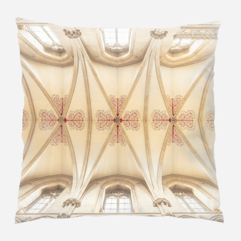 Microsuede Reversible Throw Pillow